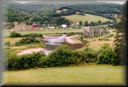 The Scenic Margaree's