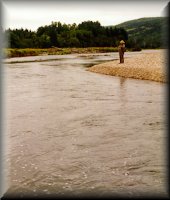 Fishing the Margaree's