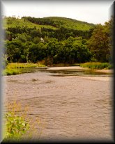 The Scenic Margaree's