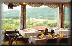 View from the Dining Room